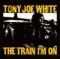 The Migrant - Tony Joe White lyrics