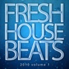 Fresh House Beats 2010, Vol. 1