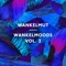 Midnight Wakling (feat. Name One) - Adriatique lyrics