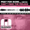 Can't Fake the Feeling (Pray for More's in Love With Mjuzieek Remix) (feat. CeeVox) song lyrics