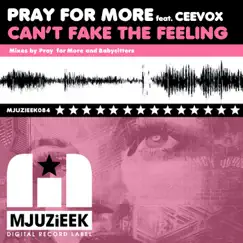 Can't Fake the Feeling (Pray for More's in Love With Mjuzieek Remix) (feat. CeeVox) Song Lyrics