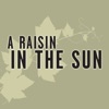 A Raisin In The Sun (Music from the Original Television Movie) artwork