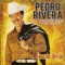 Hechame a Mi la Culpa - Pedro Rivera lyrics