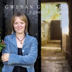 Gwenan Gibbard - Y Deryn Du