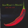 All the Squares Go Home by Steve Wynn and the Miracle 3 iTunes Track 1