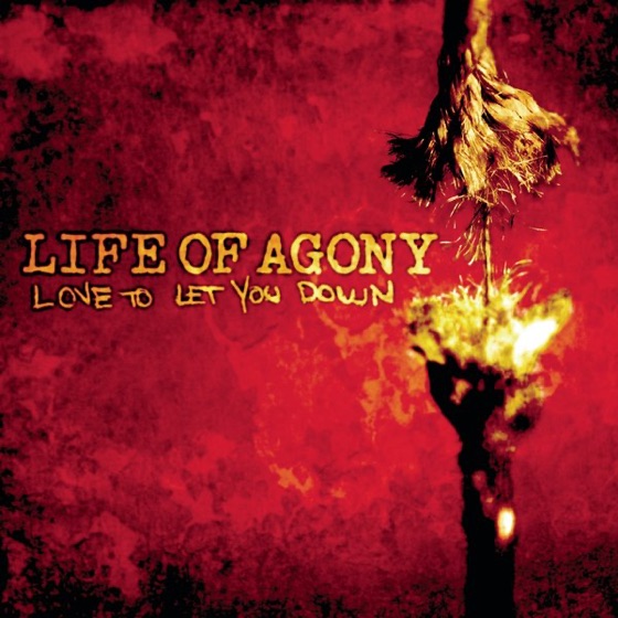 Cover artwork for Love to Let You Down