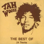 The Best of Jah Woosh artwork