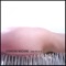 Immaculate Phallusy - Spanking Machine lyrics
