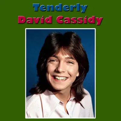 Tenderly (Live) - David Cassidy