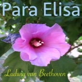 Beethoven: Para Elisa, WoO 59 (Piano Con Sonidos de la Naturaleza Version) artwork