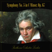Beethoven: Symphony No. 5 in C Minor, Op. 67 artwork