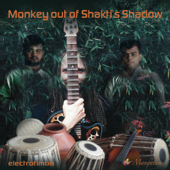 Monkey out of Shakti's Shadow - Mangalam