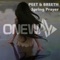 Spring Prayer (Roman Rai Remix) - Peet & Breeth lyrics