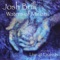 Waters of Miriam (Live at Esalen) Part 2 - Josh Brill lyrics