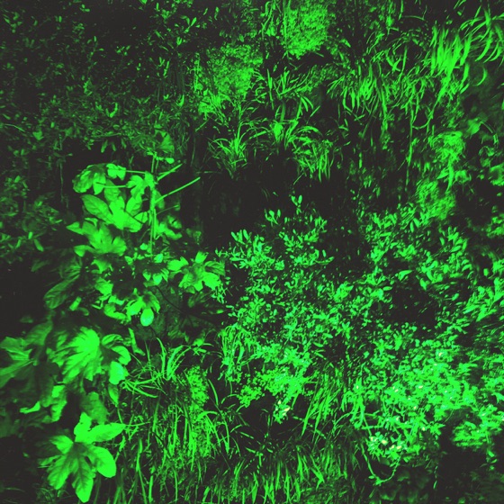 Cover artwork for Deep Green