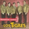 Los Tigres - Embustera