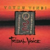 Tribal Voice artwork