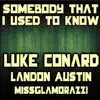 Someone That I Used to Know (feat. Landon Austin & Missglamorazzi) - Single album lyrics, reviews, download