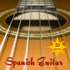 20 Hits Spanish Guitar - Various Artists