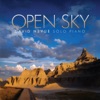 Open Sky, 2013