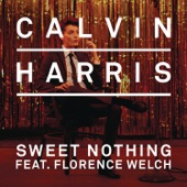 Sweet Nothing (feat. Florence Welch) [Tiësto Remix] artwork