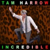 Incredible - Single