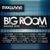 Big Room House Hits, Vol. 1