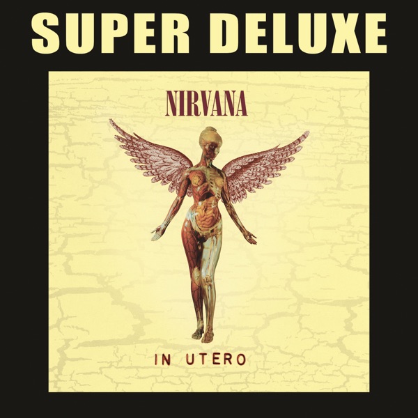 Album art for All Apologies by Nirvana