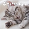 Makiko Hirohashi - Soyokaze-Ni Fukare-Te