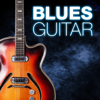 Blues Guitar - Various Artists