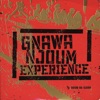 Gnawa Njoum Experience - I Lalla Dub