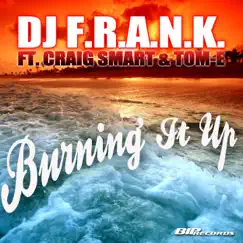 Burning It Up by DJ F.R.A.N.K album reviews, ratings, credits