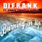 Burning It Up (feat. Craig Smart) [NBG Remix] - DJ F.R.A.N.K lyrics