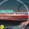 Mexican Sunrise (Mike Duz Remix) - John Steel lyrics