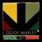 Personal Revolution - Ziggy Marley lyrics