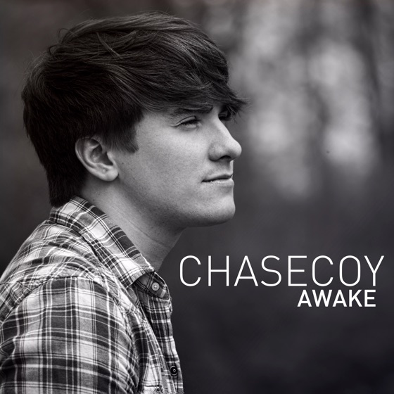 Cover artwork for Awake