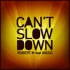 Can't Slow Down artwork