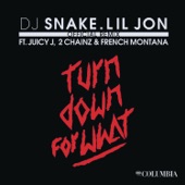 Turn Down for What (Remix) [feat. Juicy J, 2 Chainz & French Montana] artwork
