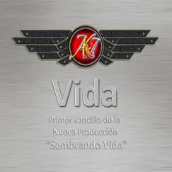 Vida - Single by AK-7 album reviews, ratings, credits