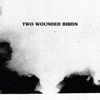 Two Wounded Birds, 2012