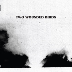 Two Wounded Birds - My Lonesome