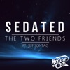 Sedated (Radio Edit) [feat. Jeff Sontag] - Single