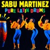 Pure Latin Drums, 2012