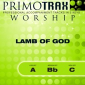 Lamb of God - Praise & Worship Primotrax - Performance Tracks artwork