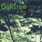 Por Toda a Minha Vida - oaktree lyrics