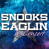 Snooks Eaglin in Concert artwork