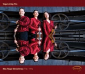 Vogl String Trio - String Trio in D minor, Op. 141b: III. Vivace