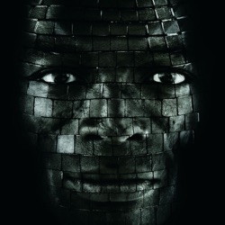 Seal - Amazing
