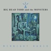 Big Head Todd & The Monsters - Bittersweet