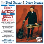 The Steel Guitar & Dobro Sounds of Shot Jackson and Buddy Emmons artwork